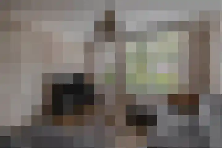 De Kleuskes 43 Liempde thumbnail 13