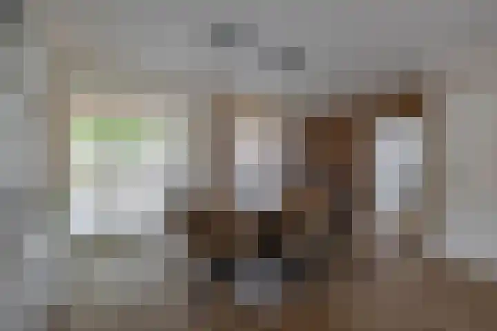 De Kleuskes 43 Liempde thumbnail 14
