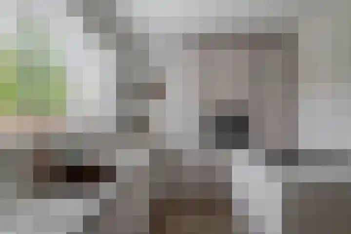De Kleuskes 43 Liempde thumbnail 19