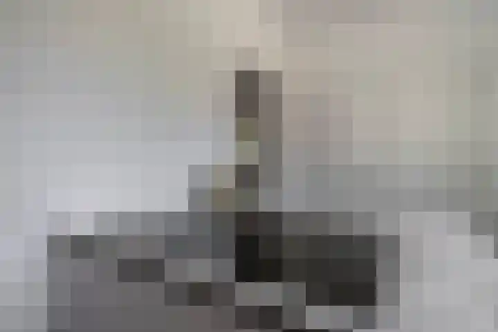 De Kleuskes 43 Liempde thumbnail 21