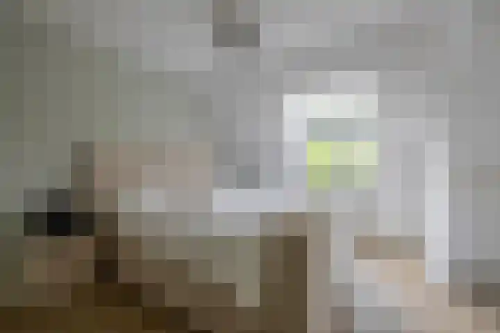 De Kleuskes 43 Liempde thumbnail 26