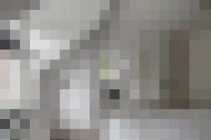 De Kleuskes 43 Liempde thumbnail 27