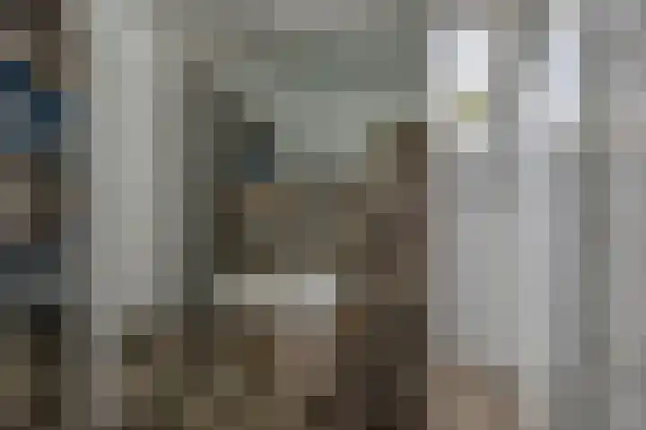 De Kleuskes 43 Liempde thumbnail 30