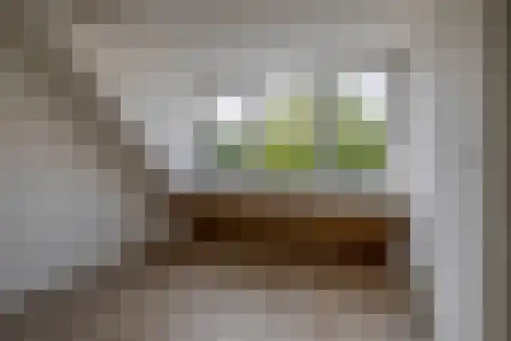 De Kleuskes 43 Liempde thumbnail 33