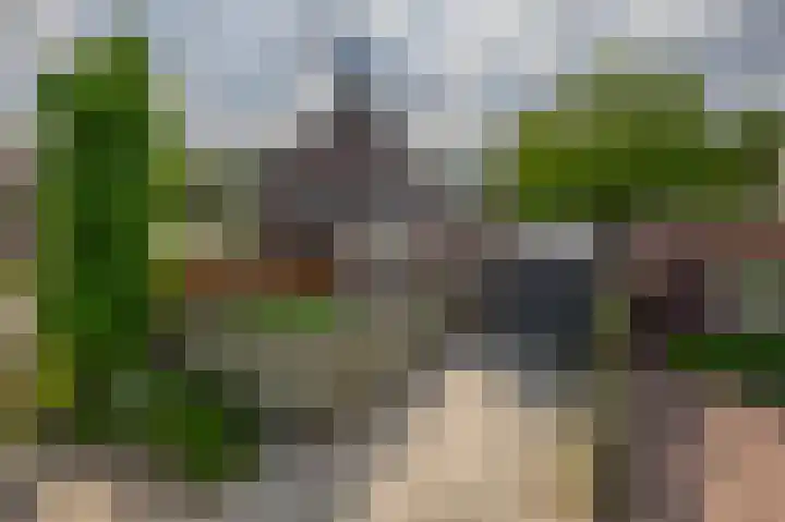 De Kleuskes 43 Liempde thumbnail 34