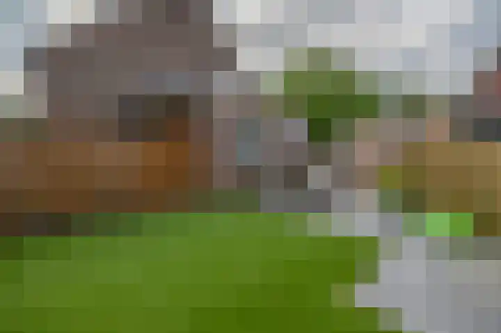 De Kleuskes 43 Liempde thumbnail 37