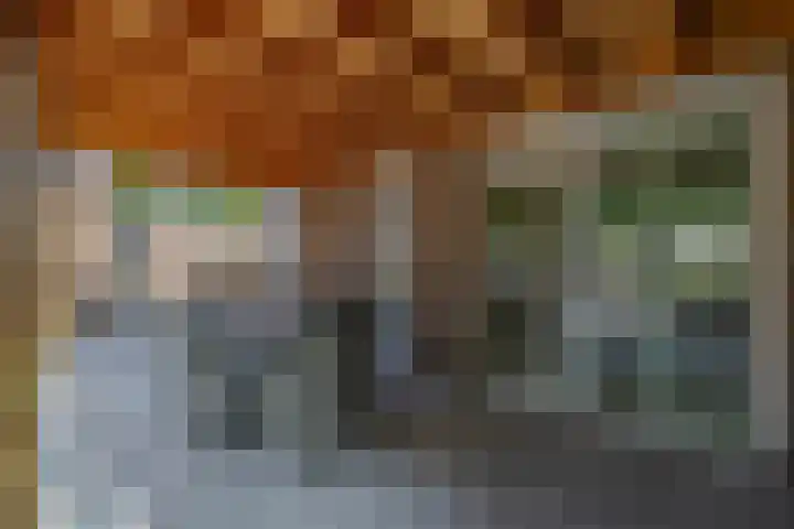De Kleuskes 43 Liempde thumbnail 41