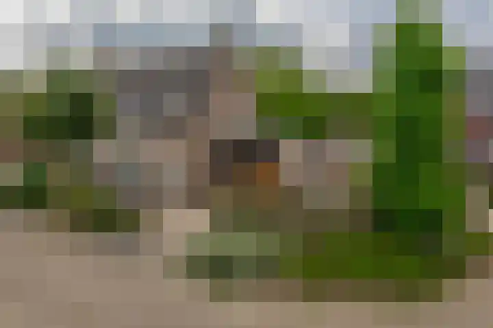 De Kleuskes 43 Liempde thumbnail 6