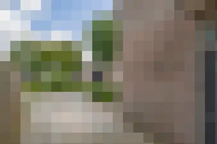De Kleuskes 43 Liempde thumbnail 7