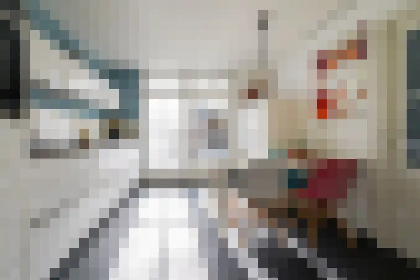 De Kleuskes 7 Liempde thumbnail 11