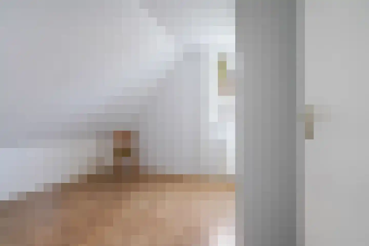 De Kleuskes 7 Liempde thumbnail 32
