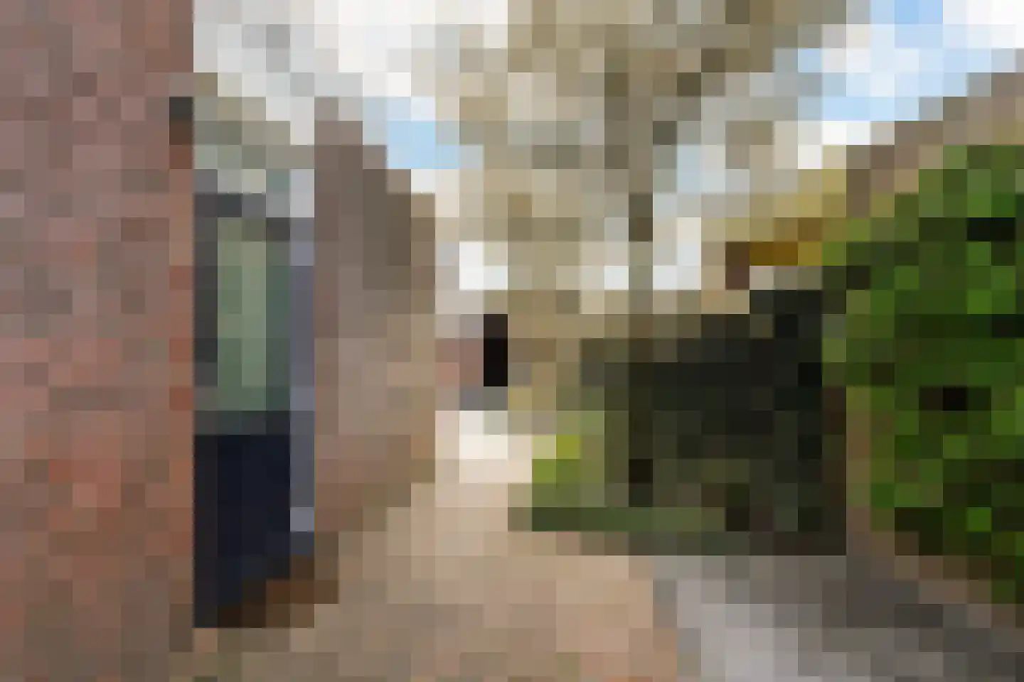 De Kleuskes 7 Liempde thumbnail 38