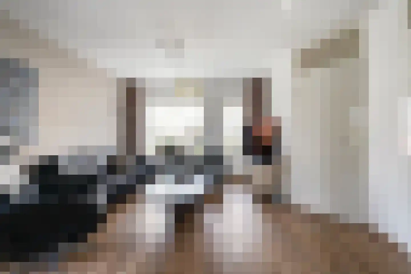 De Kleuskes 7 Liempde thumbnail 8