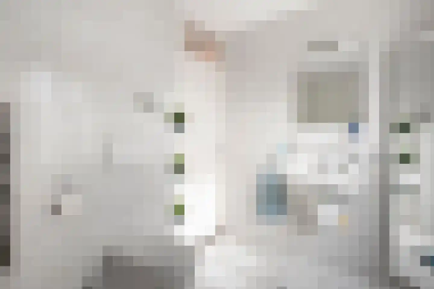 De Klinck 6 Wessem thumbnail 25