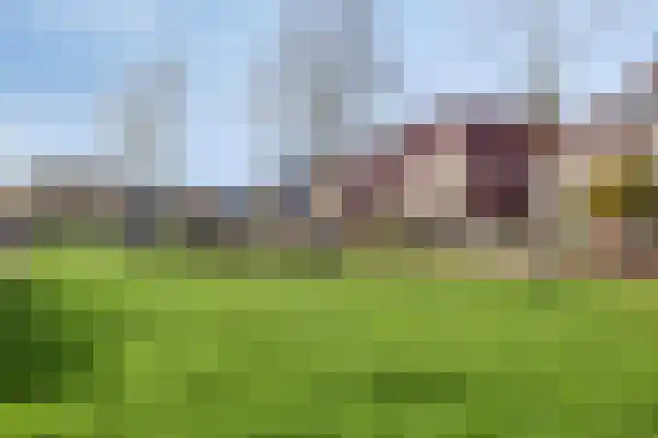 De Kline 22 Bitgum thumbnail 33