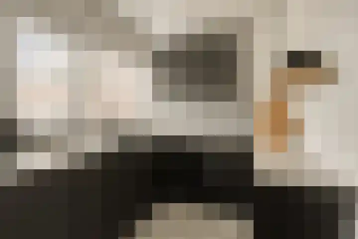 De Kling 19 IJlst thumbnail 10
