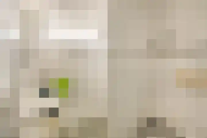 De Kling 19 IJlst thumbnail 14