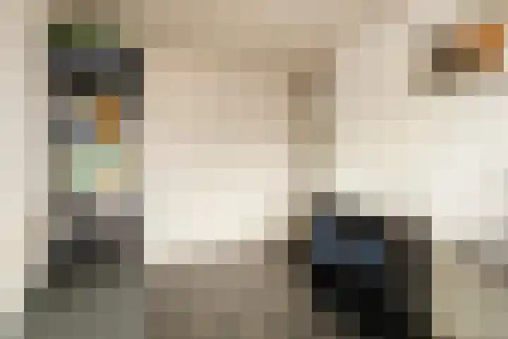 De Kling 19 IJlst thumbnail 17