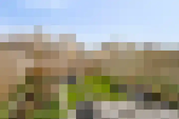 De Kling 19 IJlst thumbnail 24