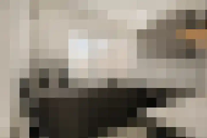 De Kling 19 IJlst thumbnail 5