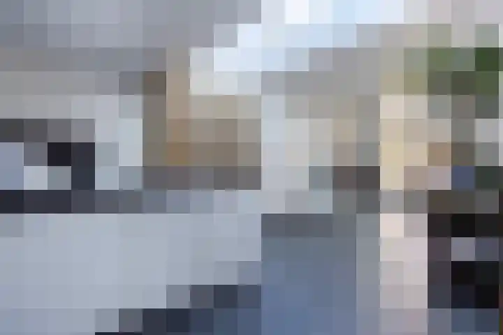 De Kling 19 Ulestraten thumbnail 10