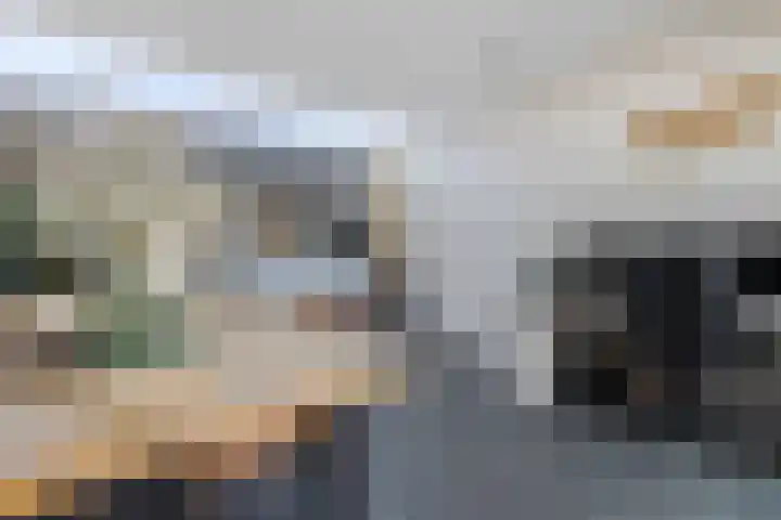 De Kling 19 Ulestraten thumbnail 13