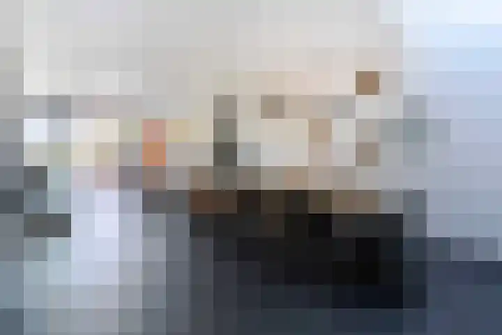 De Kling 19 Ulestraten thumbnail 14