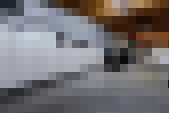 De Kling 19 Ulestraten thumbnail 17