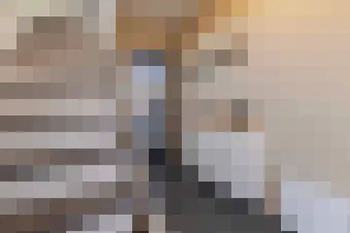 De Kling 19 Ulestraten thumbnail 20