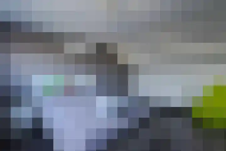 De Kling 19 Ulestraten thumbnail 31