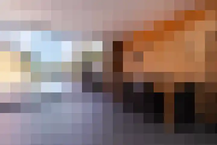 De Kling 19 Ulestraten thumbnail 32