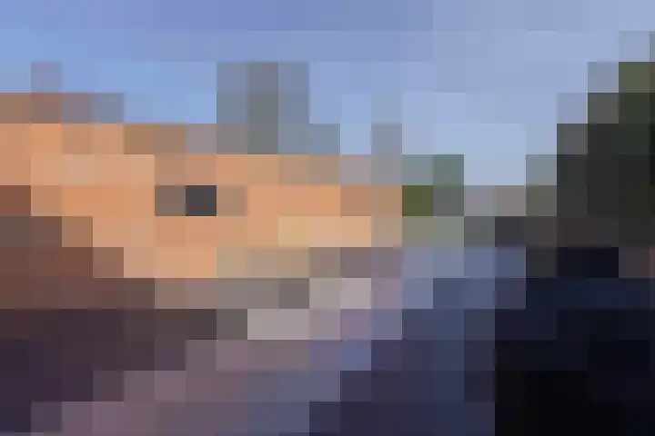 De Kling 19 Ulestraten thumbnail 34