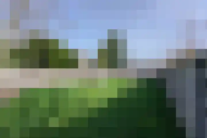 De Kling 19 Ulestraten thumbnail 38