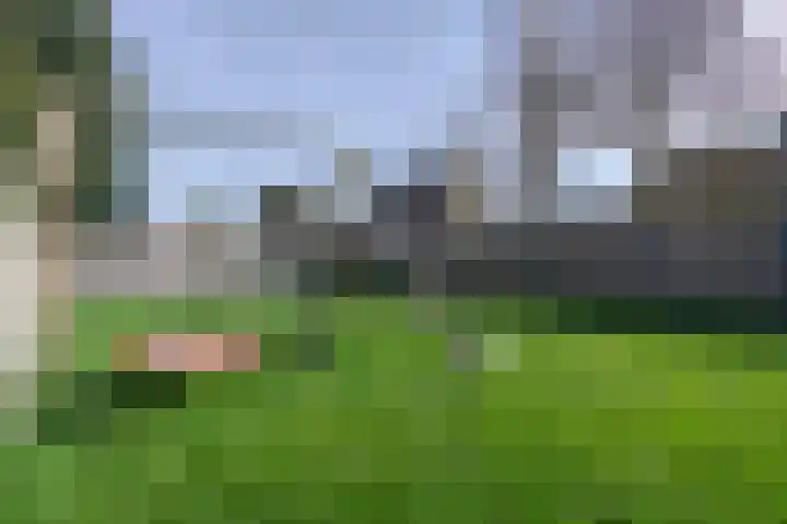 De Kling 19 Ulestraten thumbnail 39