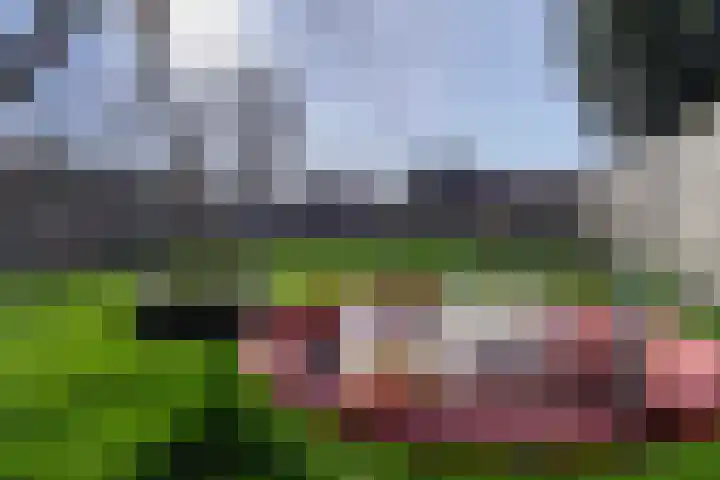 De Kling 19 Ulestraten thumbnail 41