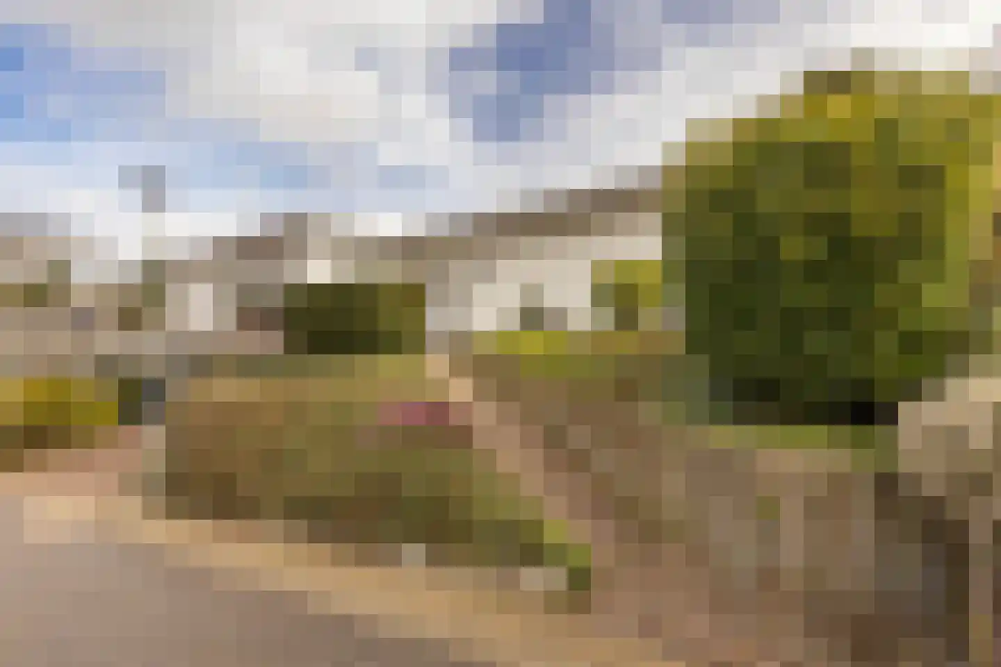 De Kling 3 Ulestraten thumbnail 12
