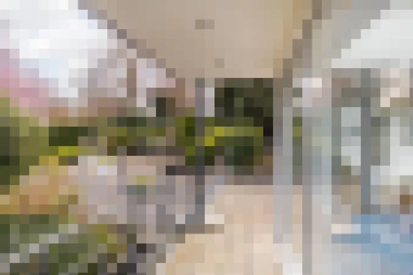 De Kling 3 Ulestraten thumbnail 63