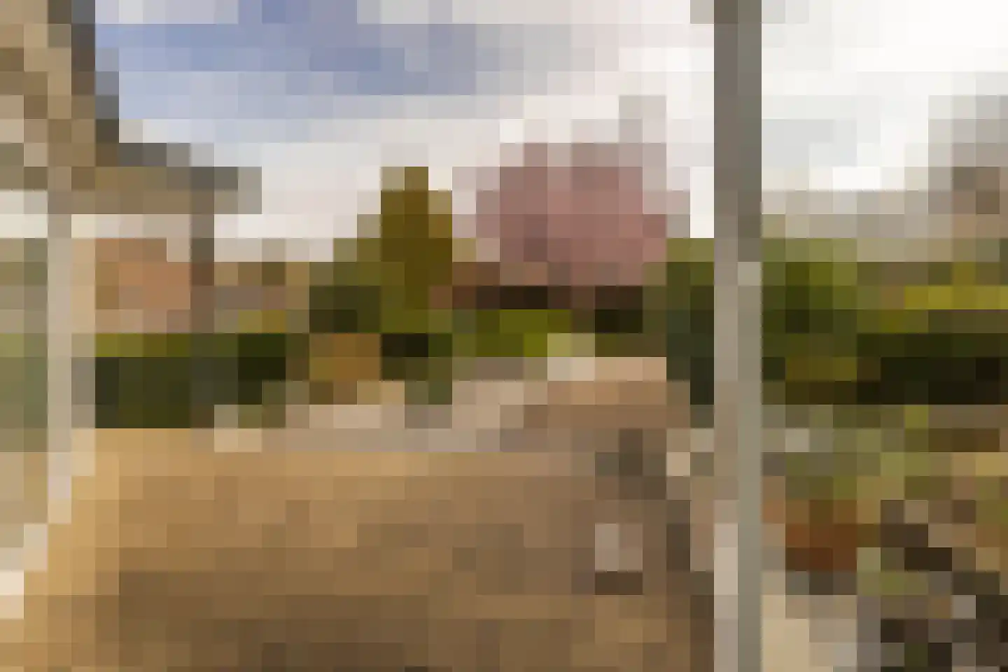 De Kling 3 Ulestraten thumbnail 64