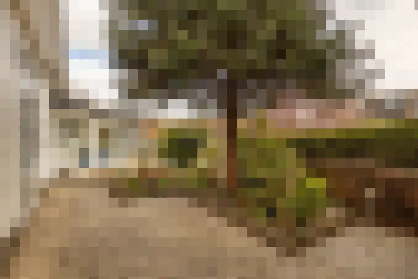 De Kling 3 Ulestraten thumbnail 65