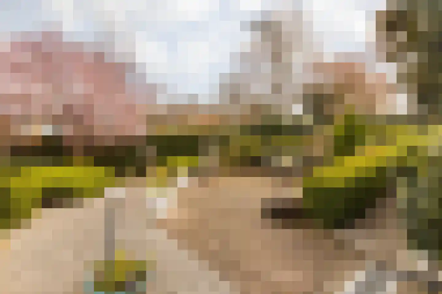 De Kling 3 Ulestraten thumbnail 66