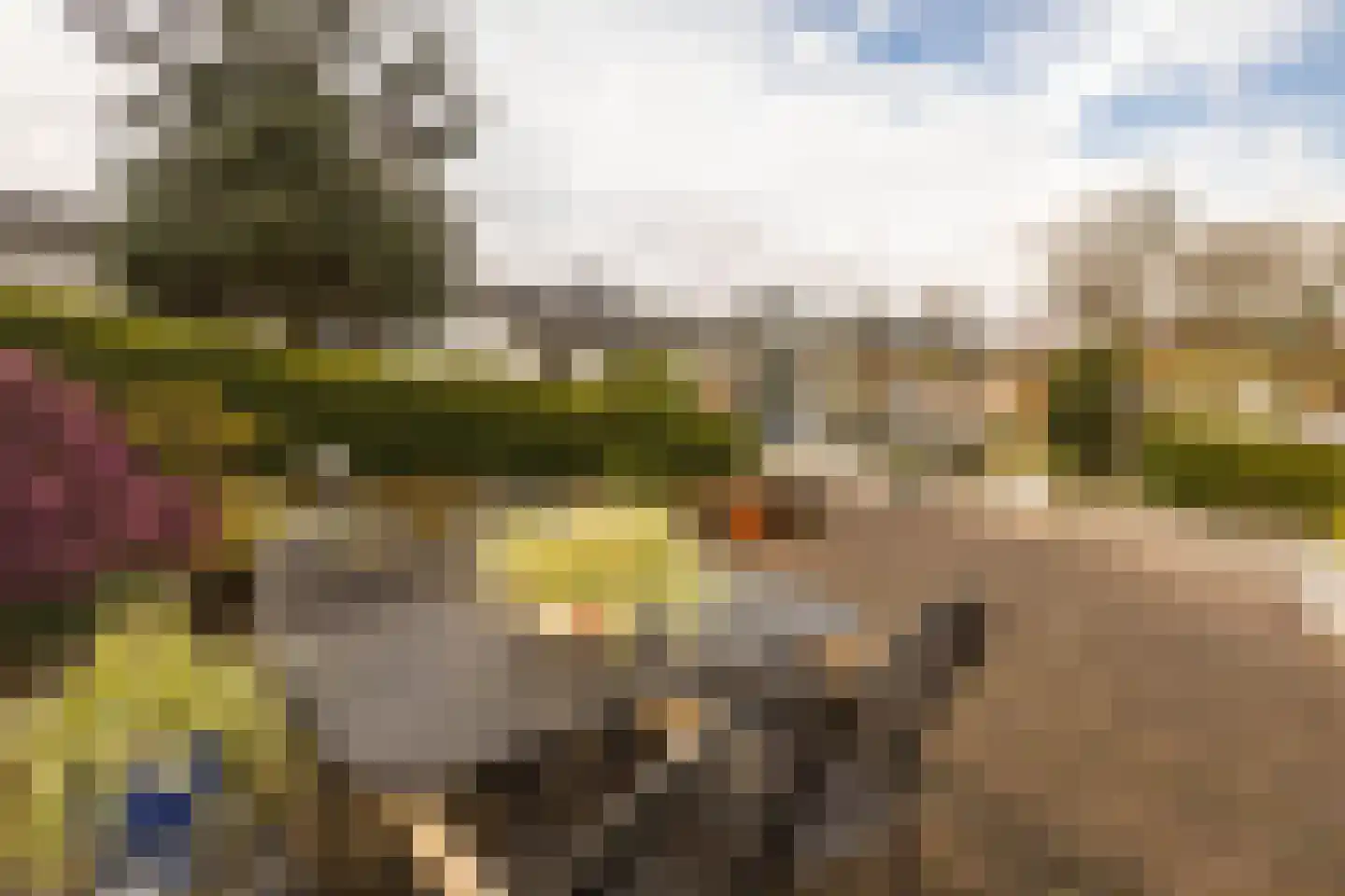 De Kling 3 Ulestraten thumbnail 69