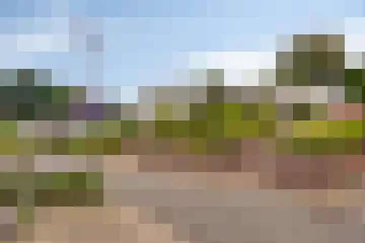 De Kling 5 Ulestraten thumbnail 10