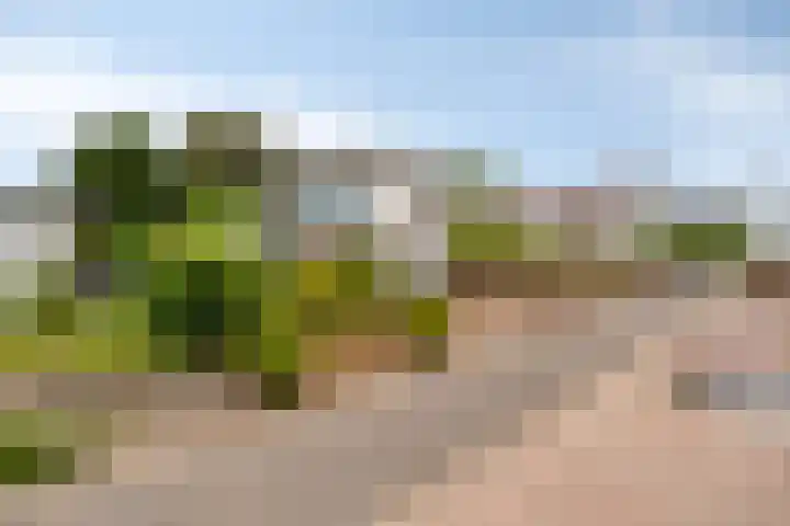 De Kling 5 Ulestraten thumbnail 12
