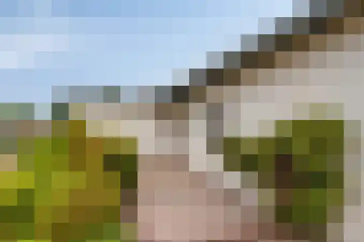 De Kling 5 Ulestraten thumbnail 14
