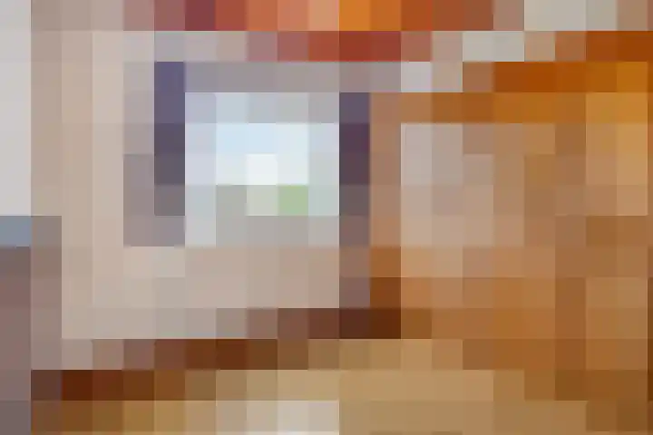 De Kling 5 Ulestraten thumbnail 26