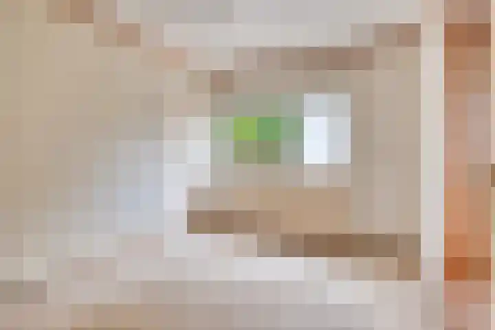De Kling 5 Ulestraten thumbnail 36