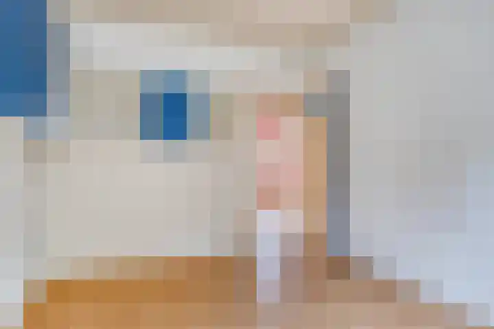 De Kling 5 Ulestraten thumbnail 42
