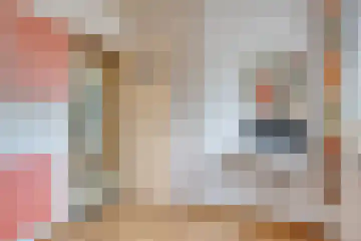 De Kling 5 Ulestraten thumbnail 44