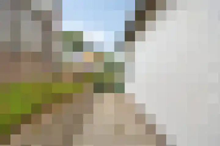 De Kling 5 Ulestraten thumbnail 47