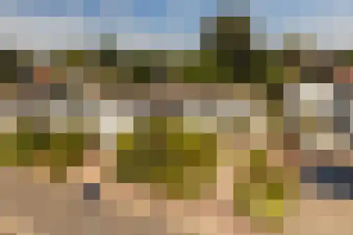 De Kling 5 Ulestraten thumbnail 5